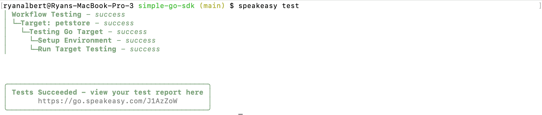 A screenshot of successful tests in the CLI.