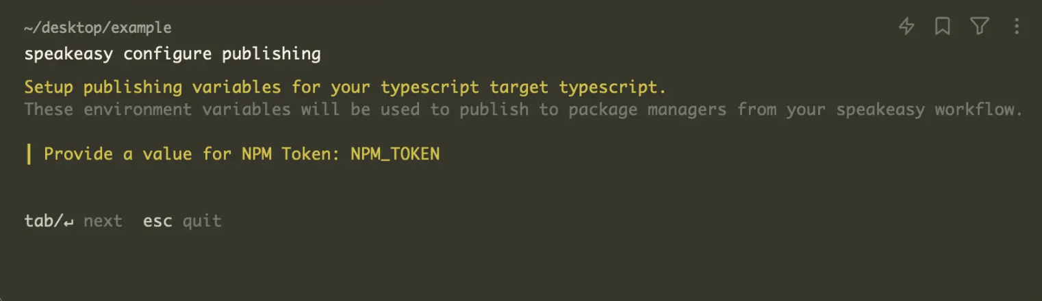 Screenshot of the terminal prompting the user for an NPM token.