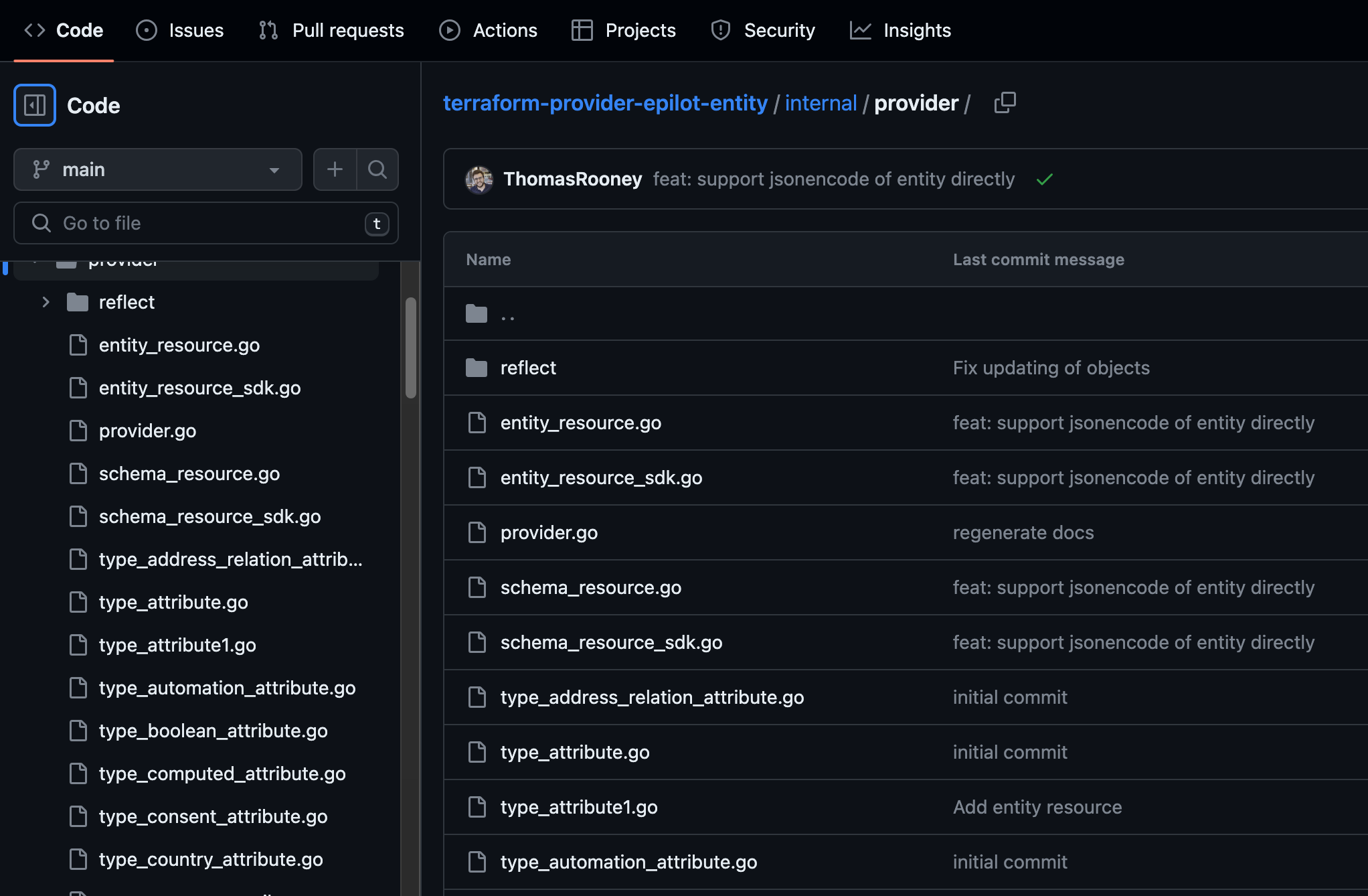 Snapshot of Epilot's Terraform provider github