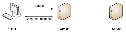 A sequence diagram showing a Client, Cache Proxy, and Server. A web request travels from client to proxy, but does not go to the server, showing show a "cache hit". The response is served from the cache proxy to the client without involving the server